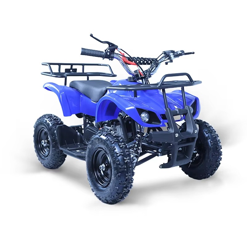 49cc Mini ATV Kids Quad Bike 2 - огляд і ціна Kids Outdoor Ride On